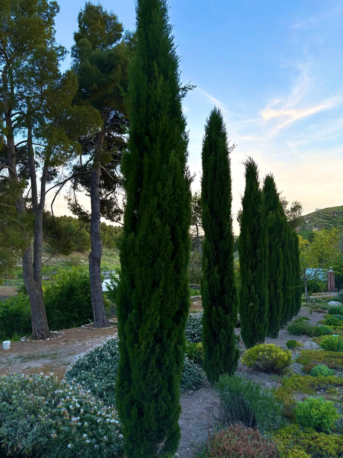 Entorno natural de la bodega